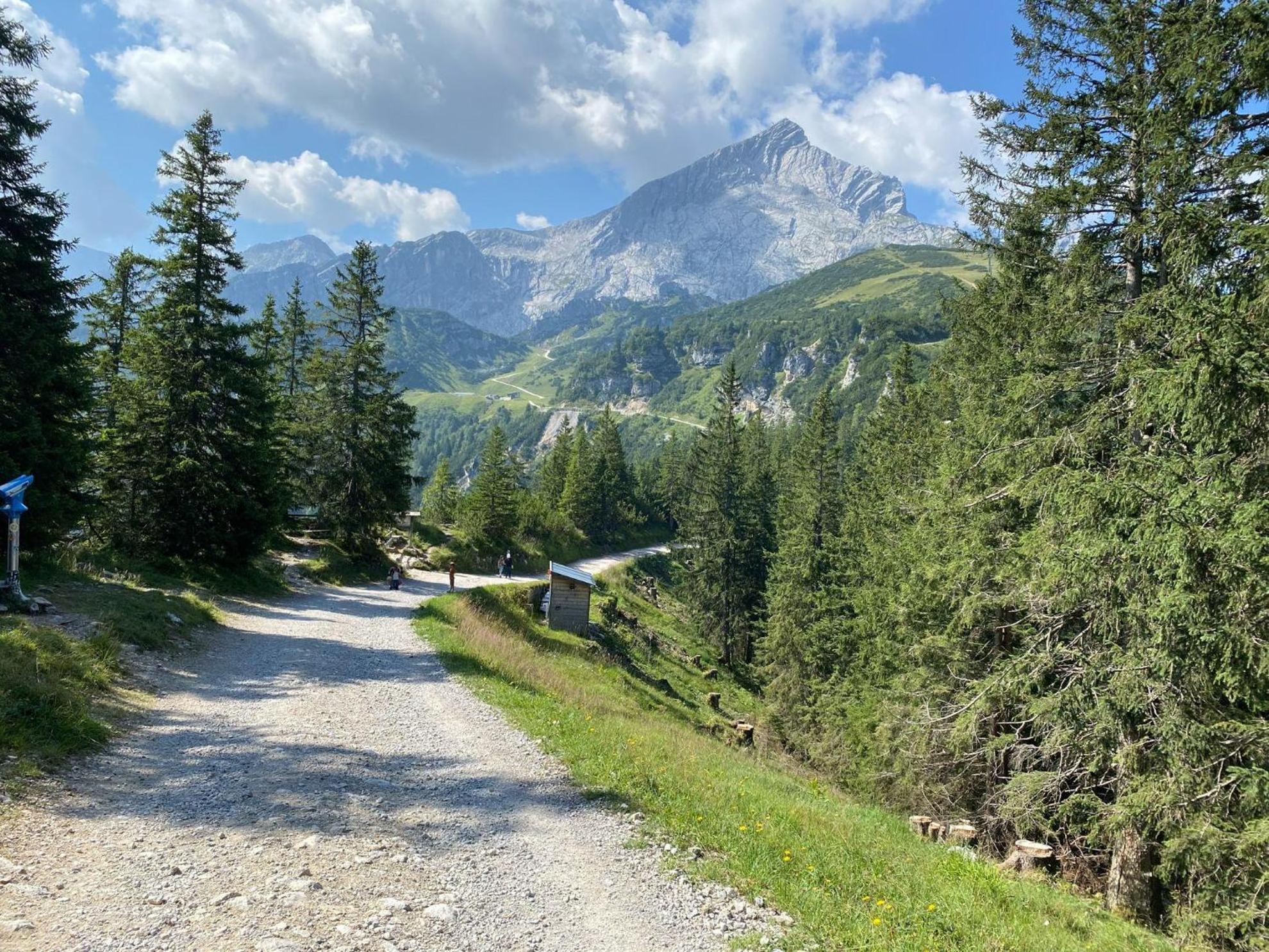 Ruckholz Trollenhof Im Allgaeu - Ferienwohnungen Saeuling מראה חיצוני תמונה